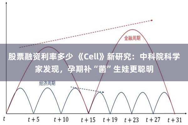 股票融资利率多少 《Cell》新研究：中科院科学家发现，孕期补“菌”生娃更聪明