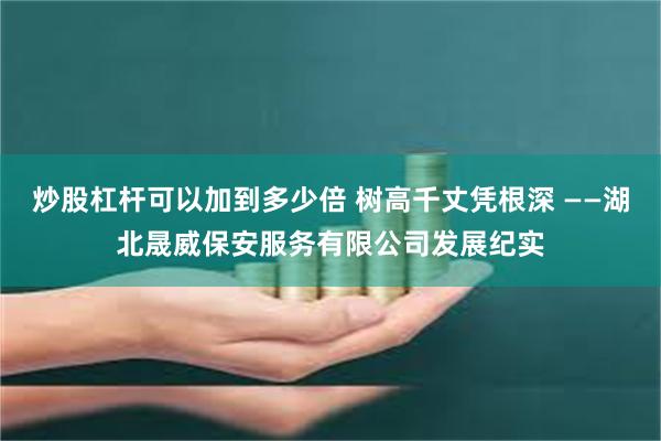 炒股杠杆可以加到多少倍 树高千丈凭根深 ——湖北晟威保安服务有限公司发展纪实