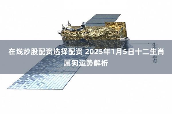 在线炒股配资选择配资 2025年1月5日十二生肖属狗运势解析