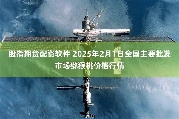 股指期货配资软件 2025年2月1日全国主要批发市场猕猴桃价格行情