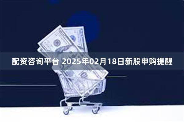 配资咨询平台 2025年02月18日新股申购提醒