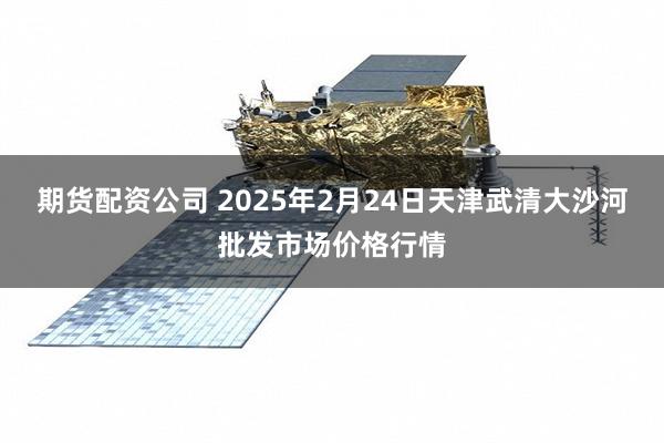 期货配资公司 2025年2月24日天津武清大沙河批发市场价格行情