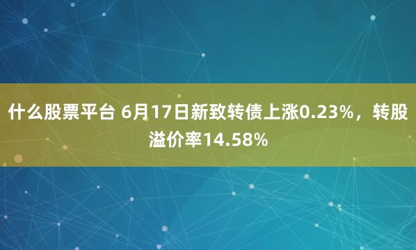 什么股票平台 6月17日新致转债上涨0.23%，转股溢价率14.58%